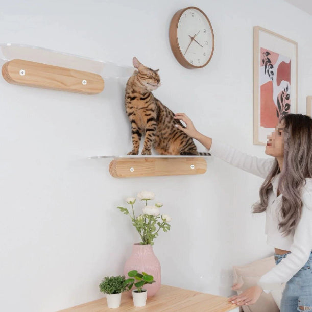 Vue Cat Style de plate-forme en bois massif Monté mural Facile-Installer quatre-saisons en bois Cat Tre