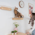 Vue Cat Style de plate-forme en bois massif Monté mural Facile-Installer quatre-saisons en bois Cat Tre