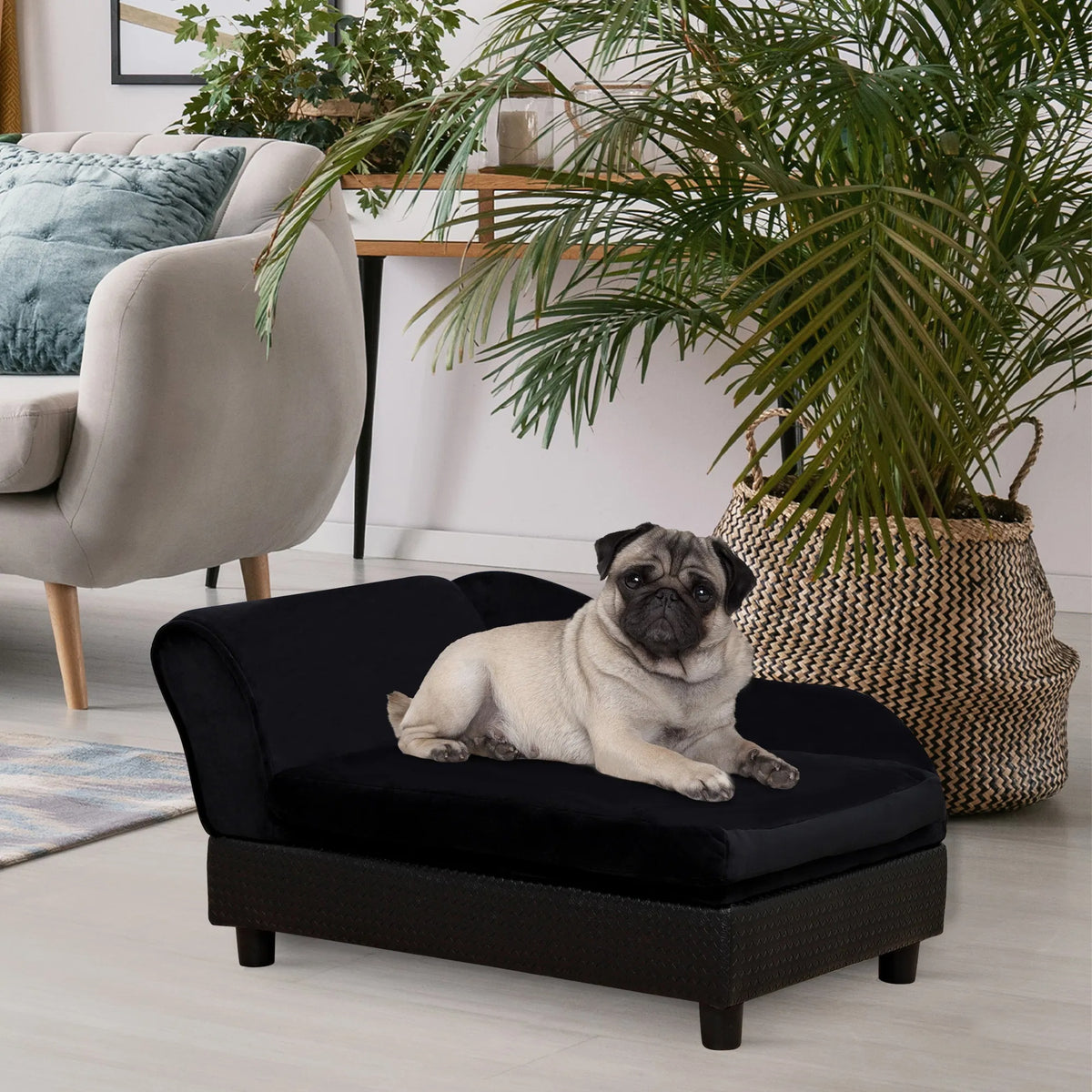 Luxury bed for small dogs