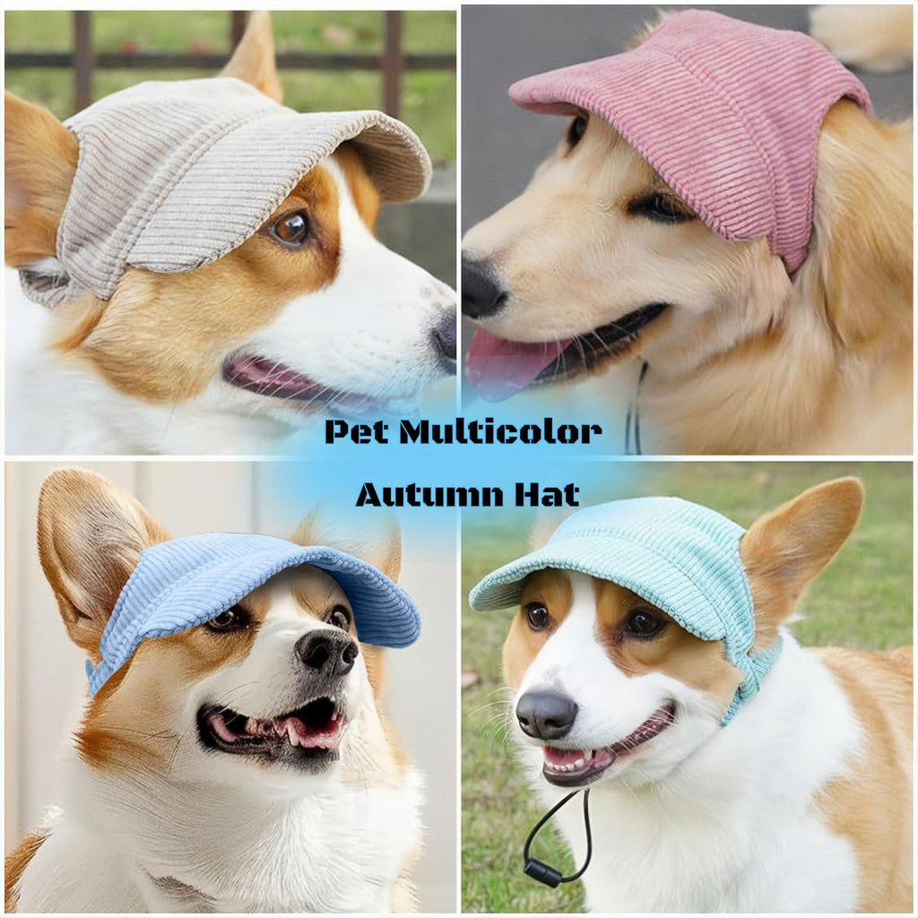 Chapeau de soleil de chat, Chapeau de seau de chien, Chapeau de sport de petite taille et Chapeau de petite taille avec trous de 2 oreilles, Chapeaux