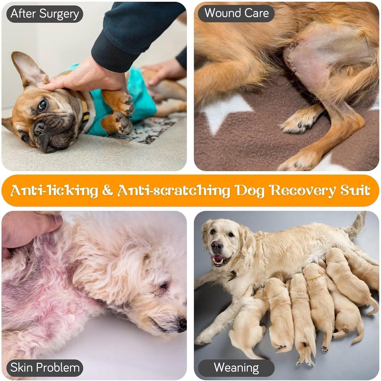 Costume de récupération de chien pour Neuter Spay