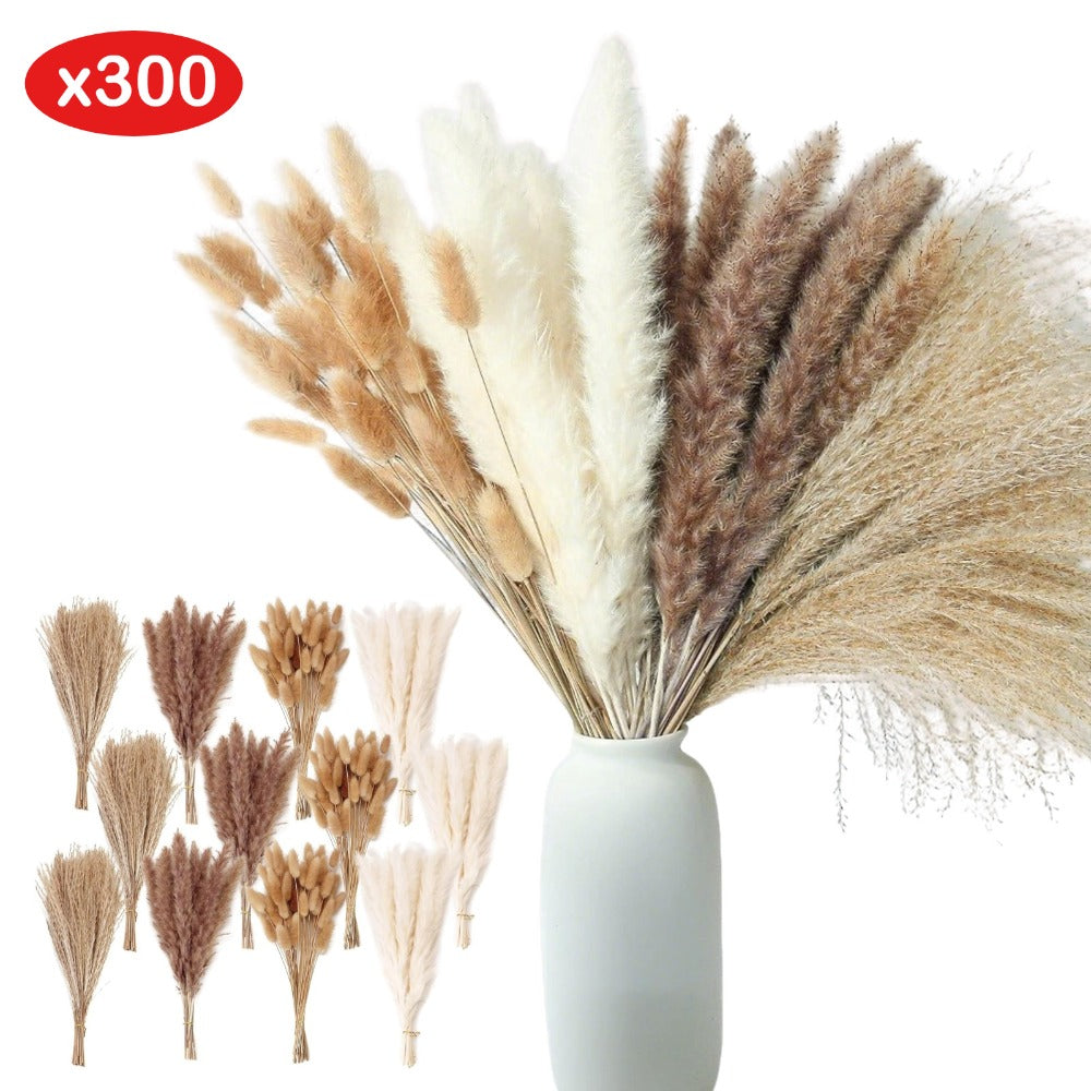 Ensemble de fleurs séchées de 300 pièces