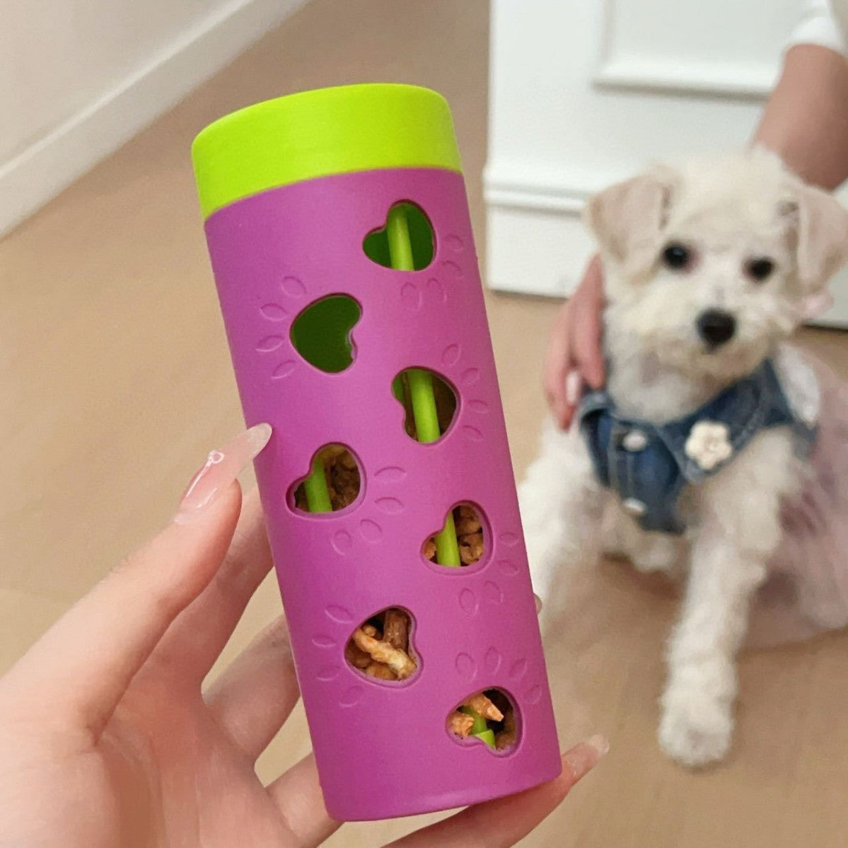 Chat et chien Puzzle Chewable Hollow-out Trait-dispensing Chew Toy