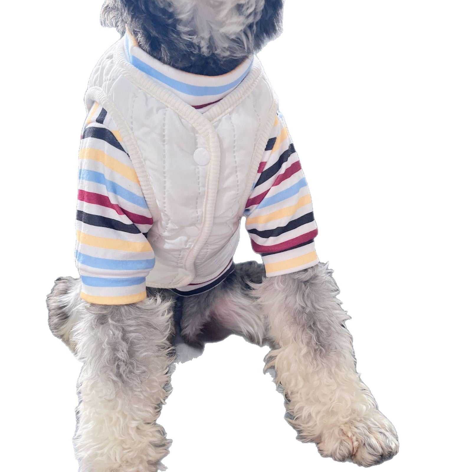 AutumnWinter Warm Dog Vest Deux-Piece Set