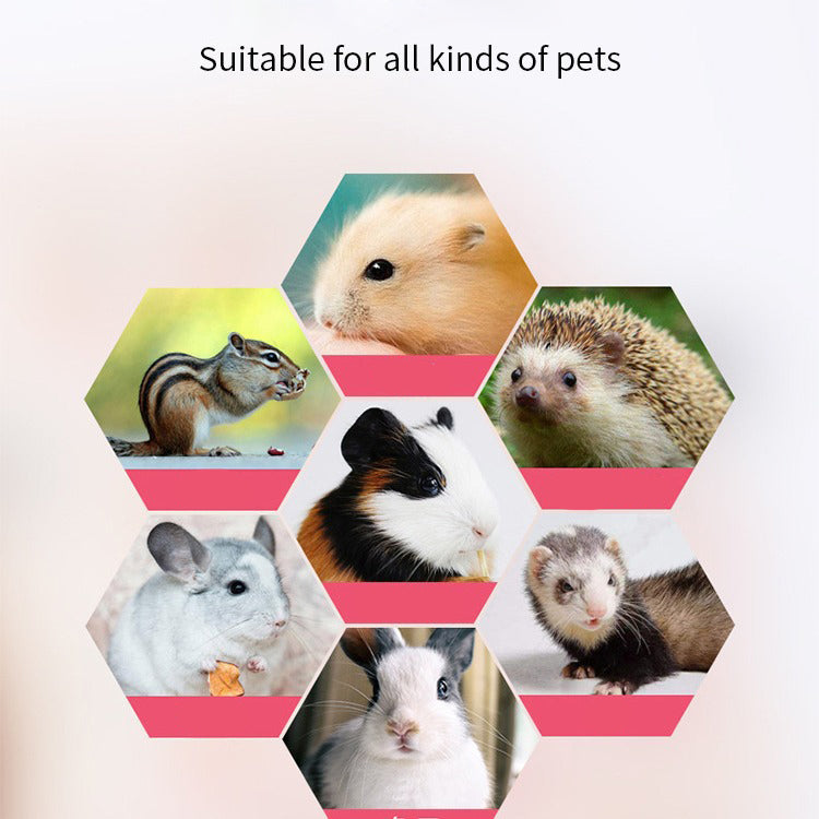 Animaux de compagnie Cage Hammock Guinée Pig Rat Hammock Tunnel écureuil Jouets Ferret Lit suspendu pour petit