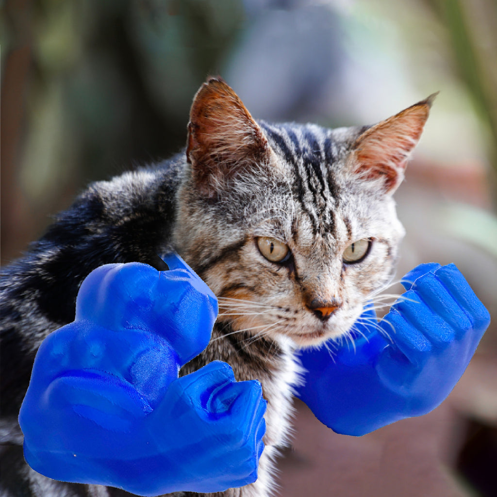 Amazons Pet Muscle-arm Gag article Une blague créative