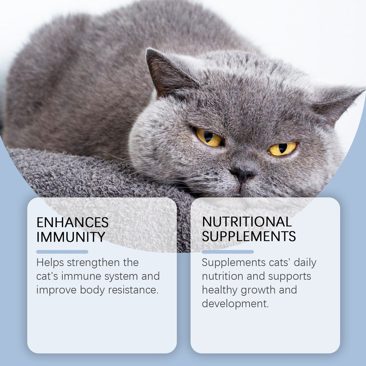 Suppléments de vitamine Yegbong pour chats