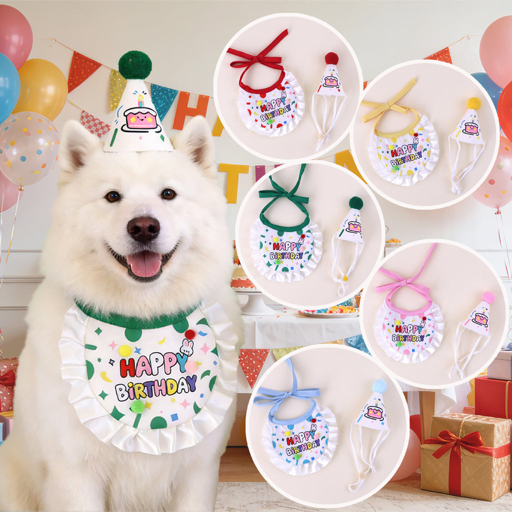 Chat et chien Chapeau d'anniversaire joyeux et ensemble de bib écharpe de cou