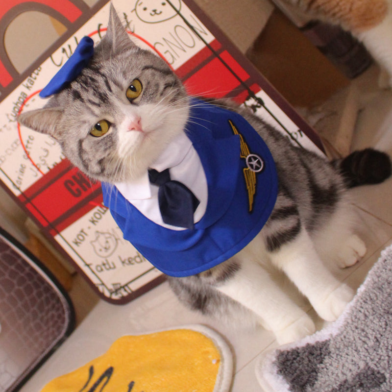 Mode Personnalisé Pet Fighter Vêtements Collier