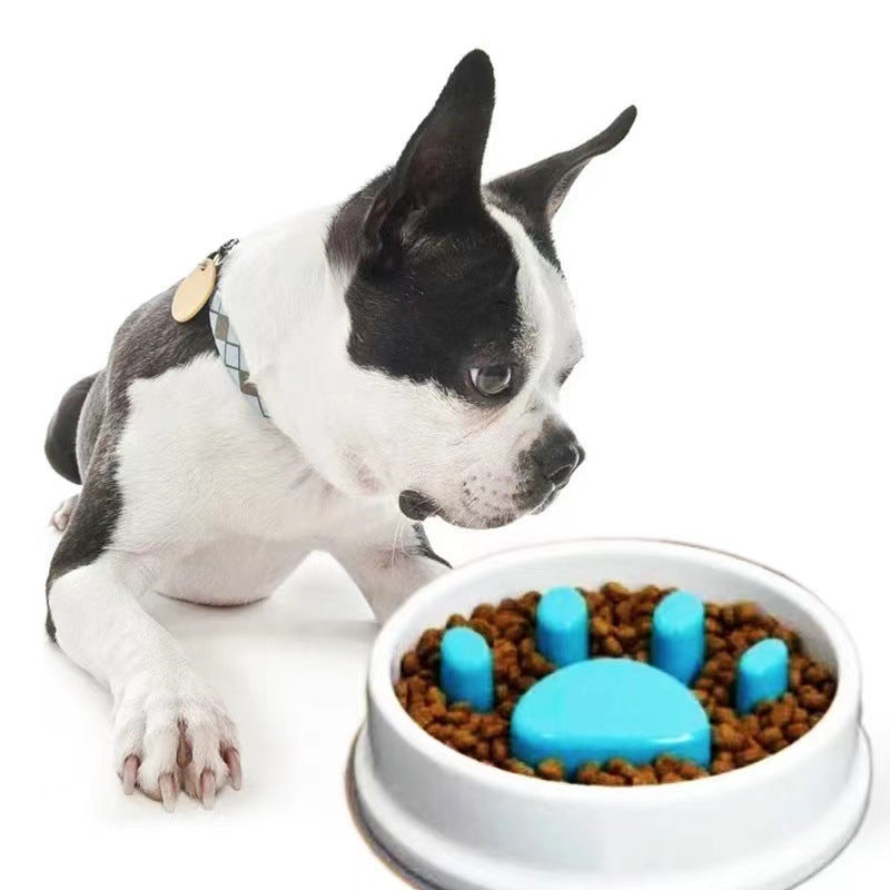 L'alimentation lente Anti-choc et non-dérapant Pet Bowl