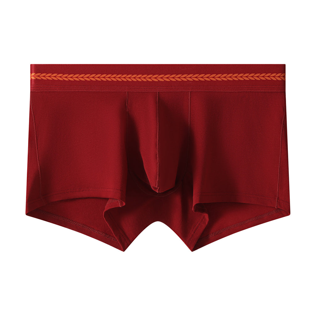 Hommes Breathable Casual Stylish Boxer Slips