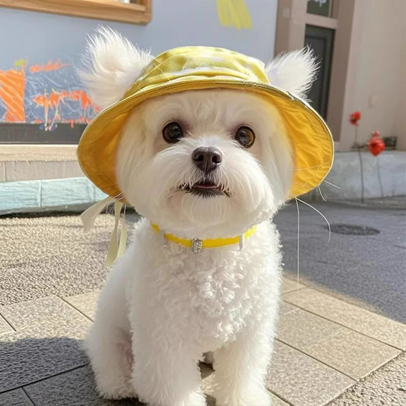 Mignon Oreilles exposées Chapeau de seau de chien chat