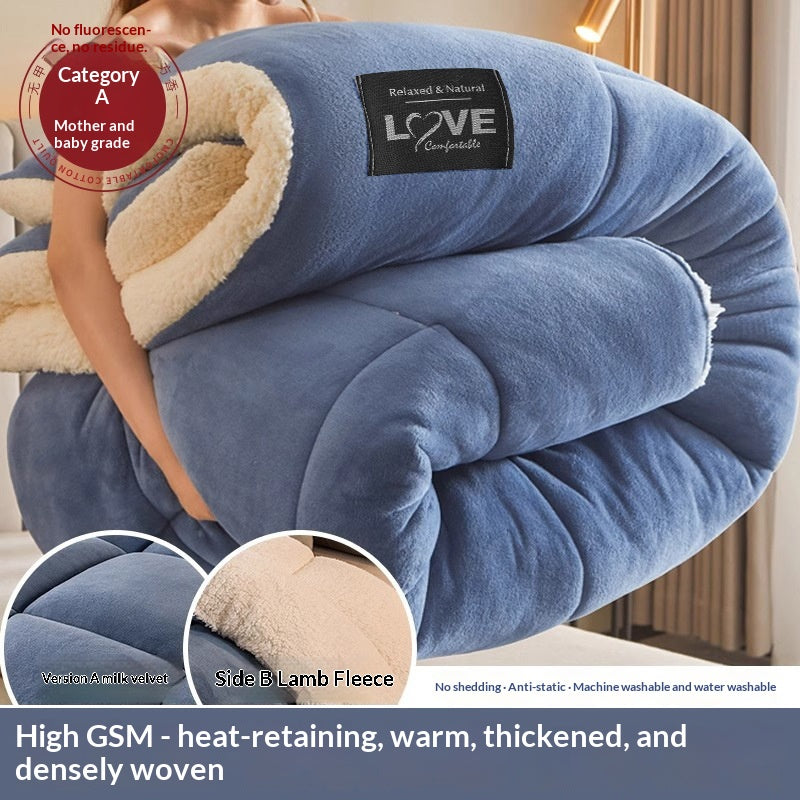 Coral Fleece Hiver Comforter
