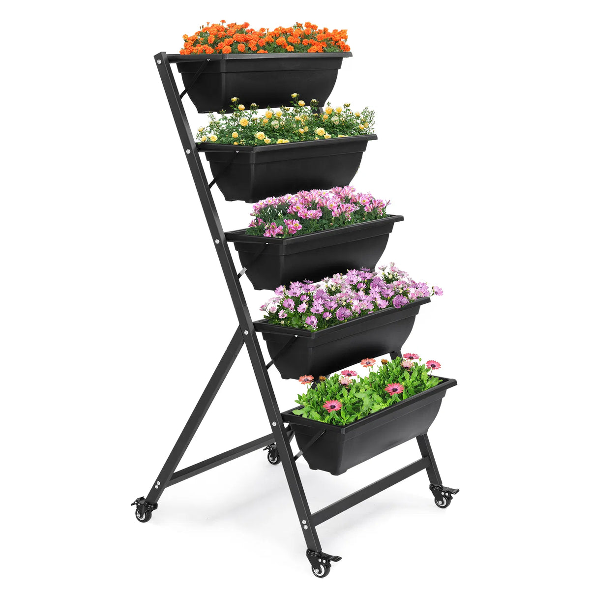 5 niveaux Lit de jardin vertical