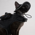 Veste de traction réglable et chapeau de pêcheur pour marcher un chat dans Devon.