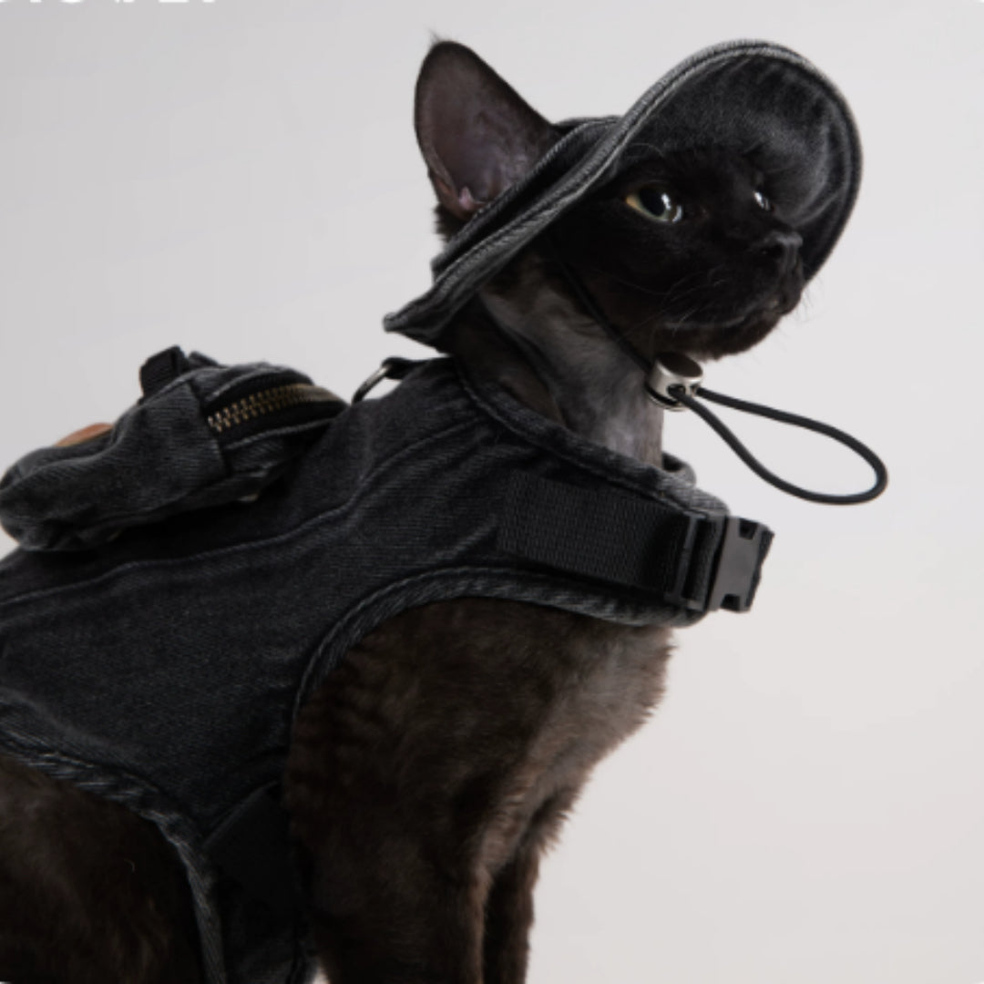 Veste de traction réglable et chapeau de pêcheur pour marcher un chat dans Devon.