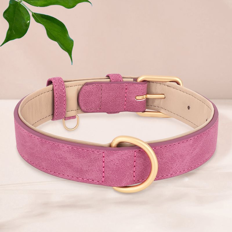 Collier de chien en cuir double couche créatif et polyvalent