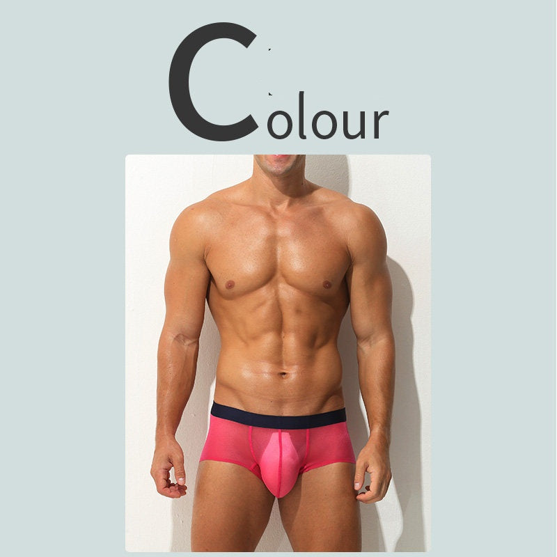 Boxer Slips Ultra-fin Sheer Silk glacé Low-rise Sexy