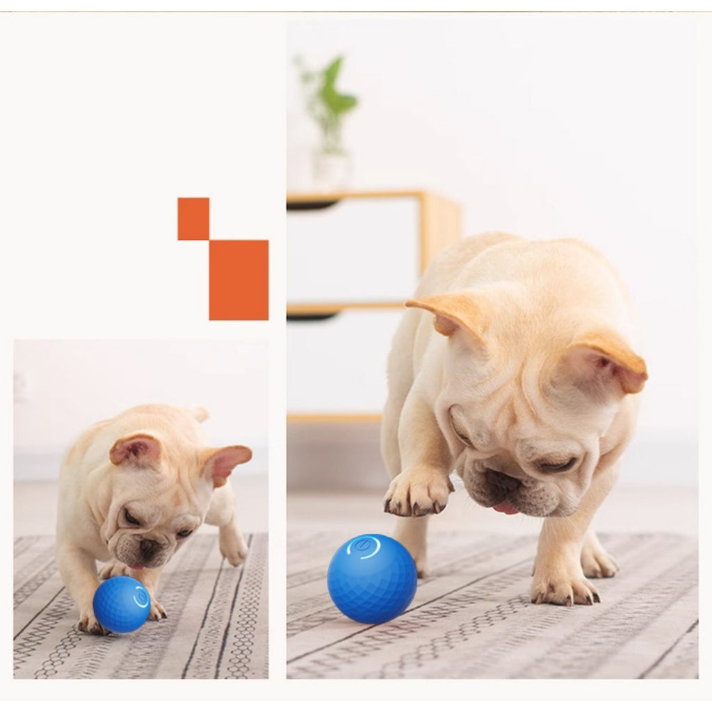 Boule de jouet électrique interactive pour chien gravitationnelle pour self-play