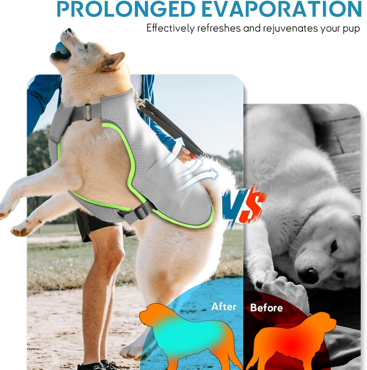 Cooling Vest for Dogs with Ice Packs