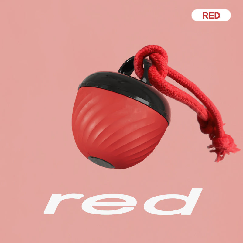 Smart Dog Chat Toy Ball Electronic Interactive Pet Toy Moving Ball Rope USB 3 Modes Automat