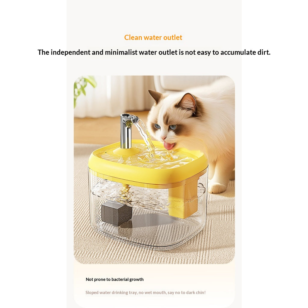 Fontaine d'eau de circulation automatique pour les chats