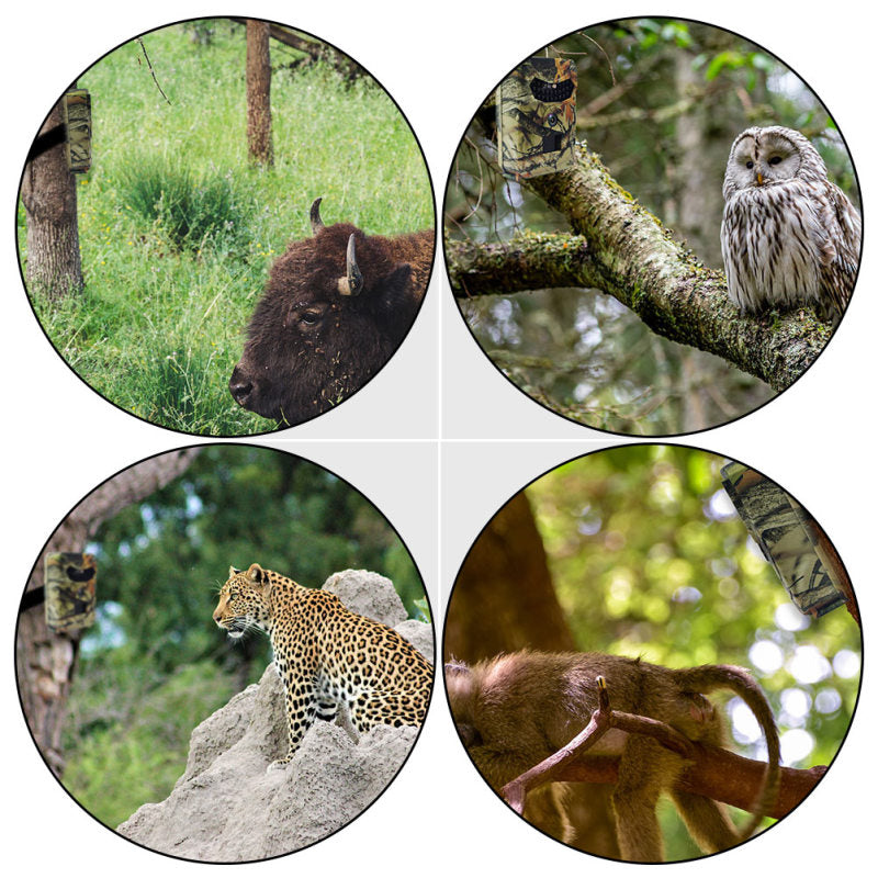 16MP Hunting Game Camera Infrared Night Vision Scouting Camera Cam no battery