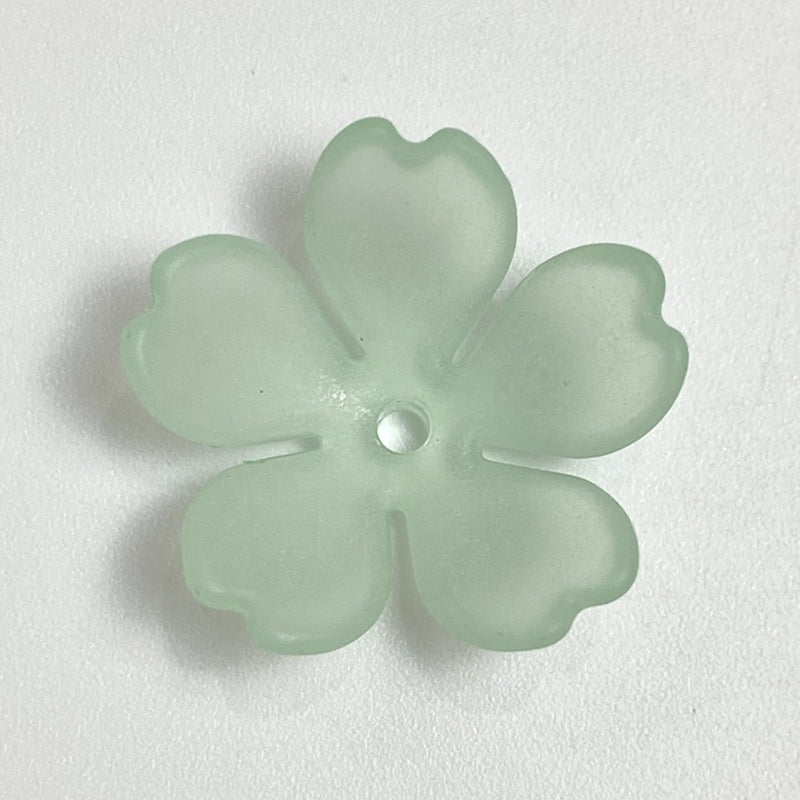 Bases fluorescentes 5-Petal translucides Matte