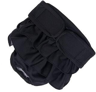 Physiological belt for large dogs