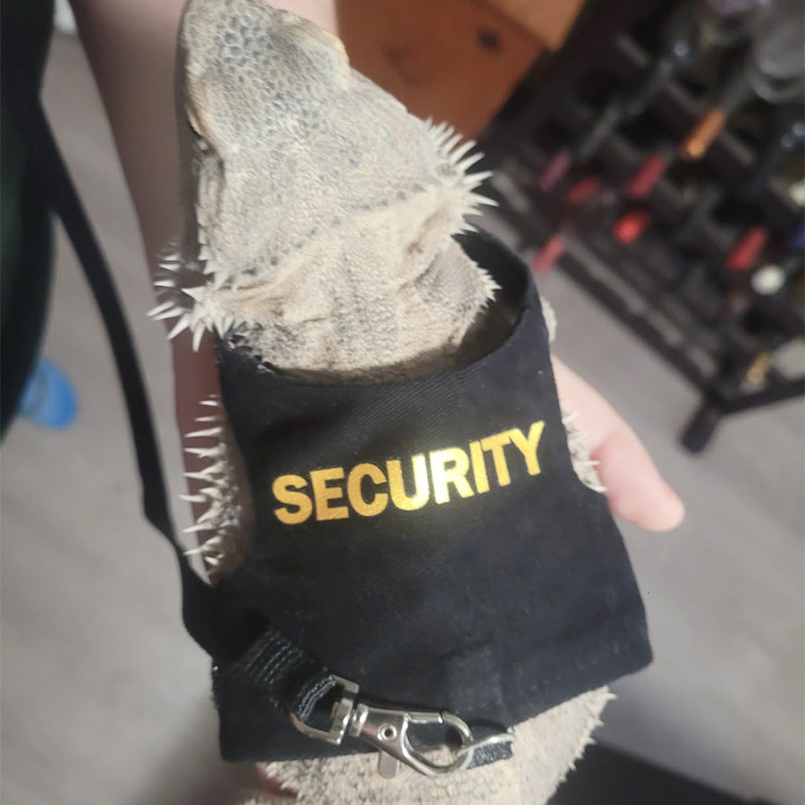 Lézard Leash Reptile Extérieur Poitrine et Harnais de dos
