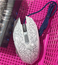 Internet Cafe Bureau Mouse filaire Accessoires informatiques