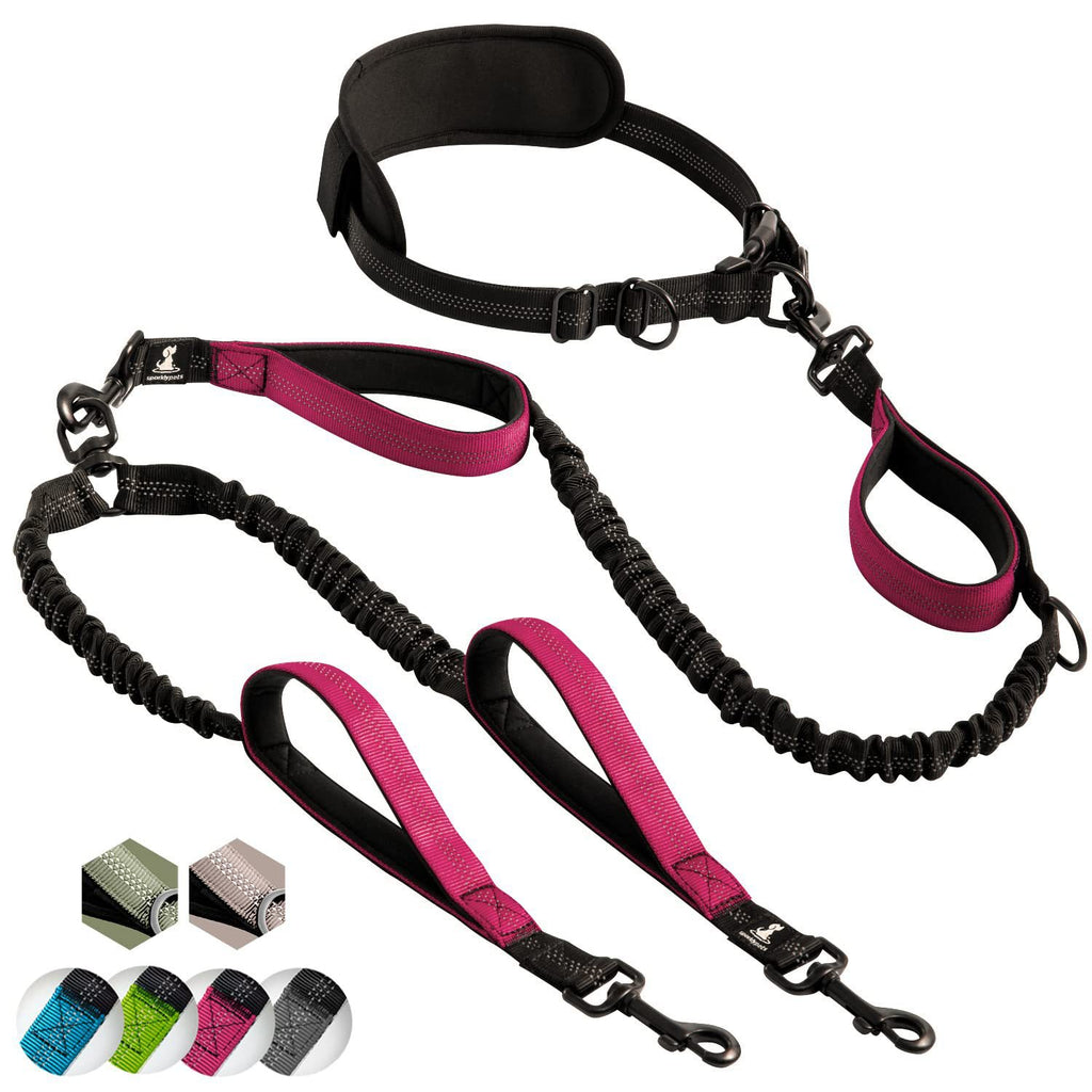 Amazon Pet Supplies Multifonctionnel Leash Sport Fitness Running Leash Dog Leas