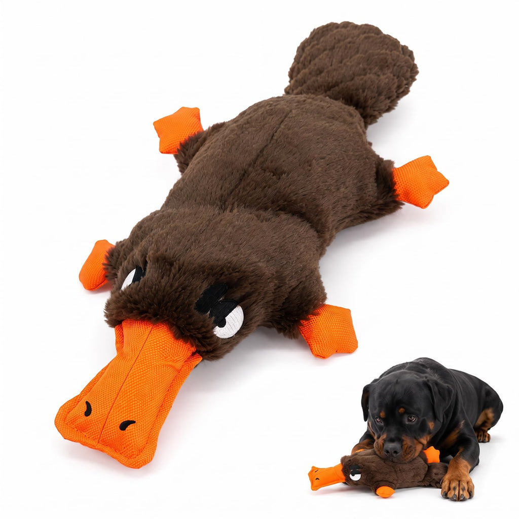 Jouet en peluche de chien squeaky