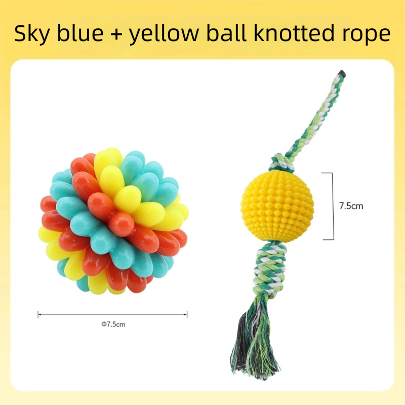 Balles de jouets de dents colorées pour animaux de compagnie