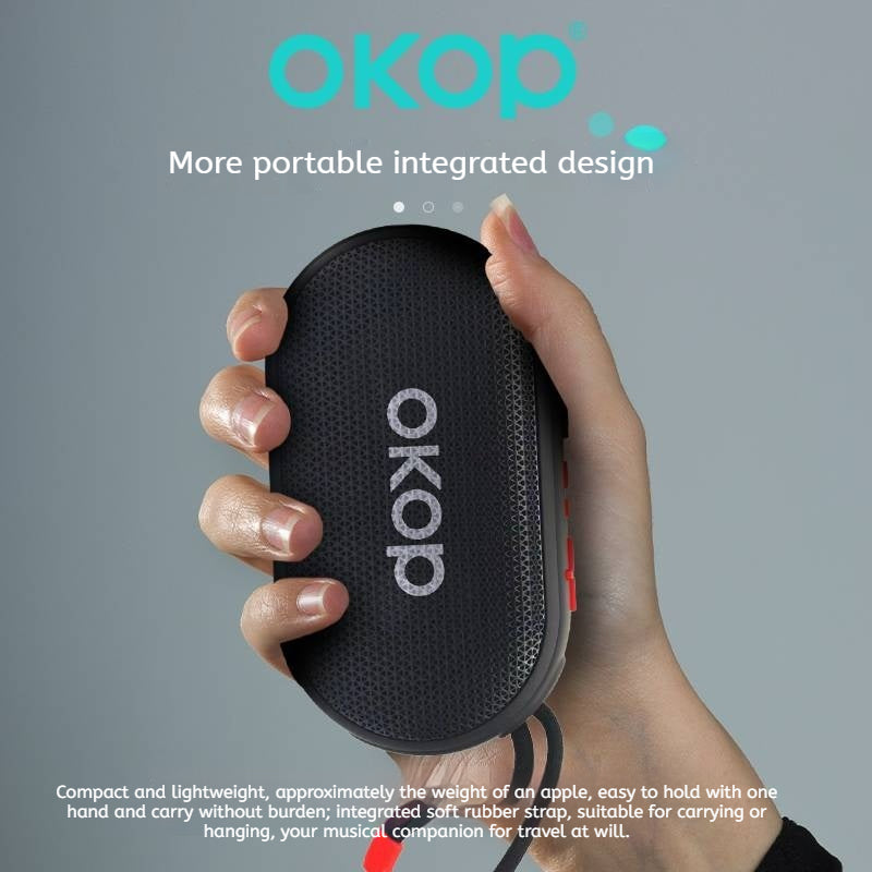 KP-813 Haut-parleur Bluetooth extérieur portable avec poignée audio basse profonde sans fil TF carte Sup