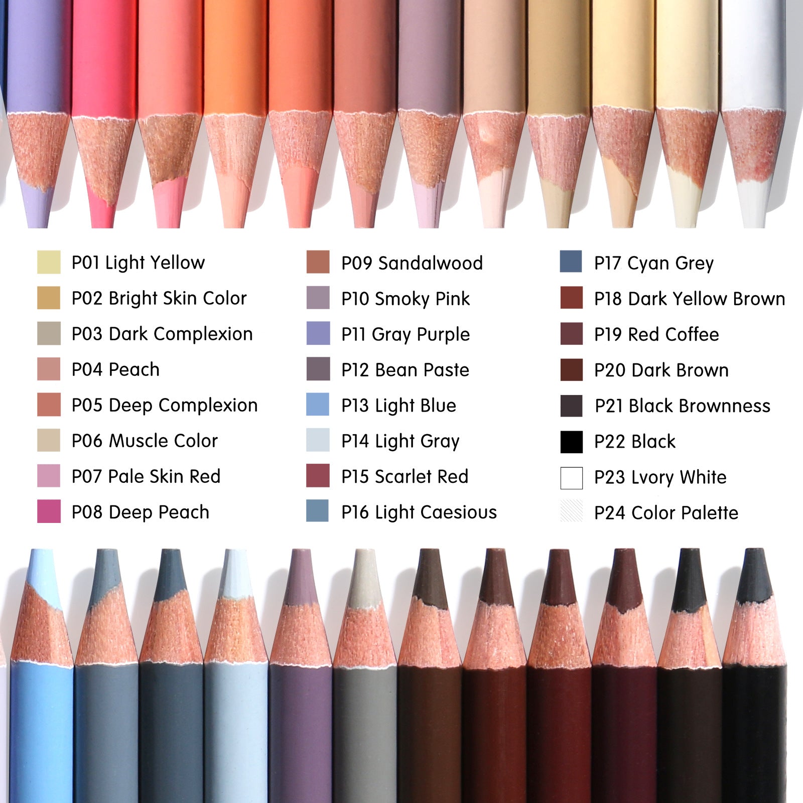 Peinture 24-couleur Stylo de couleur de peau peint à la main Portrait Couleur crayon fournitures d'art huileux