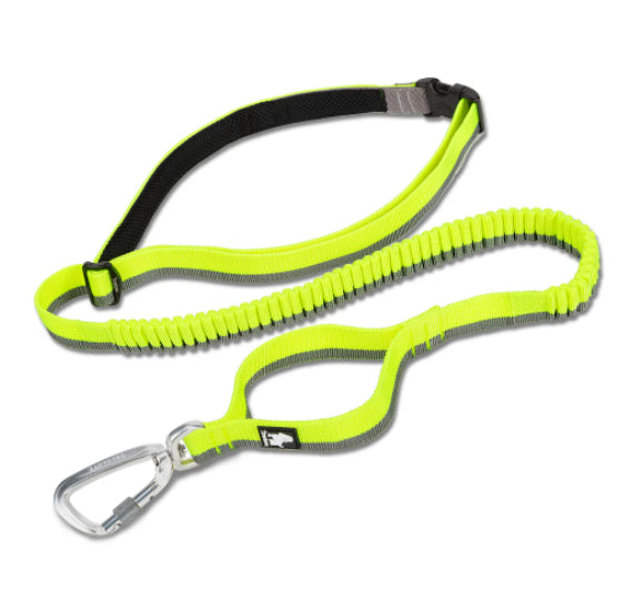 Pet Dog laisse avec élastique adapté pour courir et activités de plein air peut être attaché à