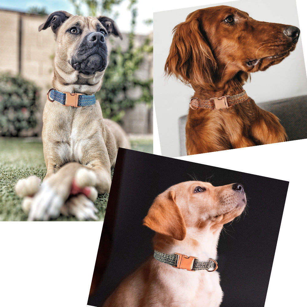 Feuille de chien avec des lettres gravées et un collier antiperdu