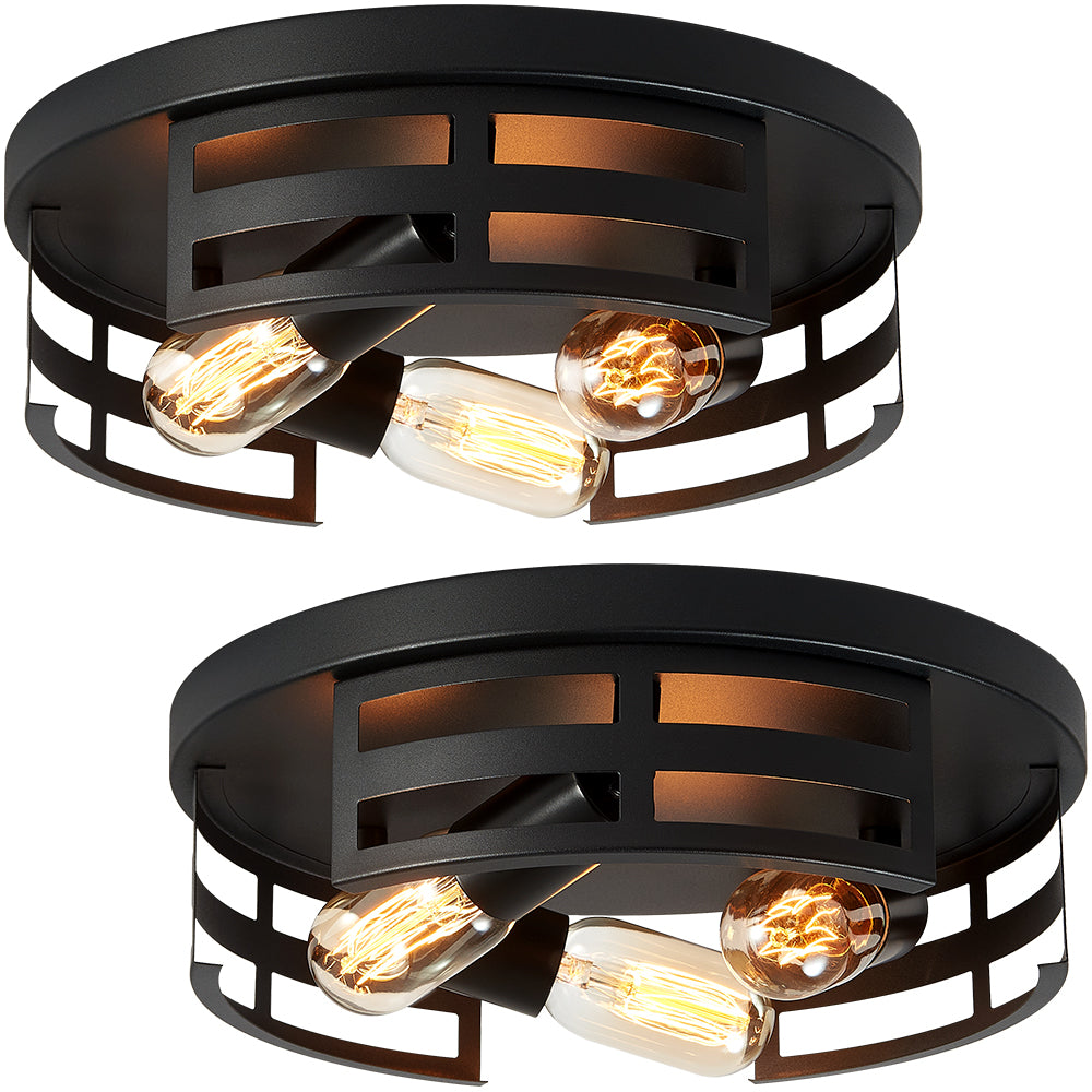 2-Light Black Flush Mount Ceiling Light