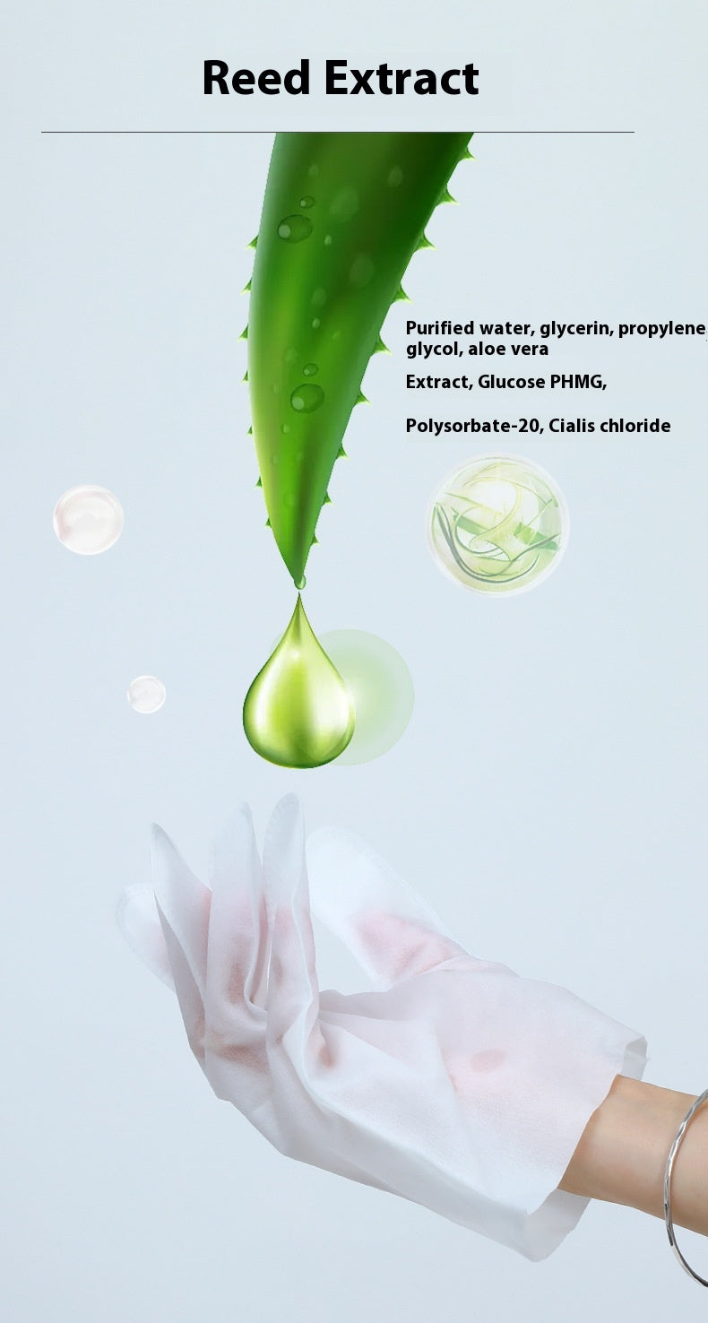 Nettoyage à sec Désinfecter le papier Déodorant Aliments pour animaux Gants jetables pour animaux