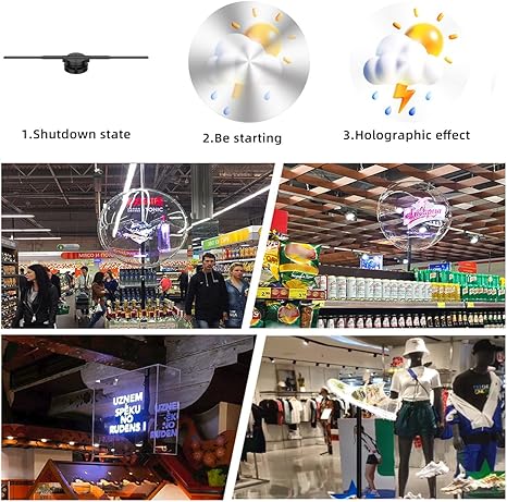 Wiilala ventilateur hologramme 3D cercle App hologramme affichage publicitaire 224 lumières 16.5 WiFi Ho