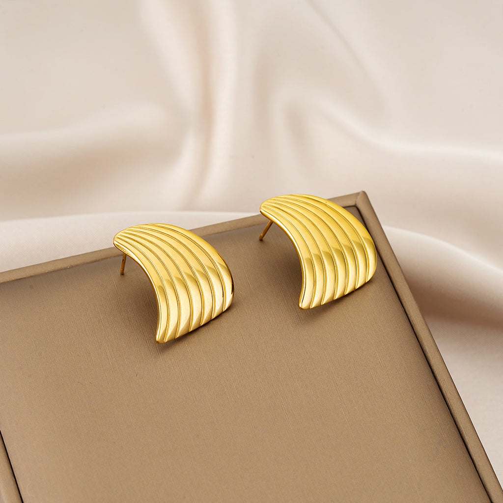 Style Ins européen et américain Fashionable simple rayé Fan-Shaped Titanium acier oreille