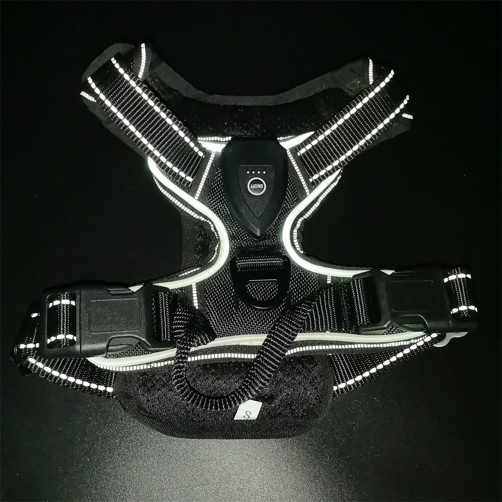 Led Pet Light-Up Harness Nighttime Dog Walking Anti-Collision Veste d'éclair réglable pour