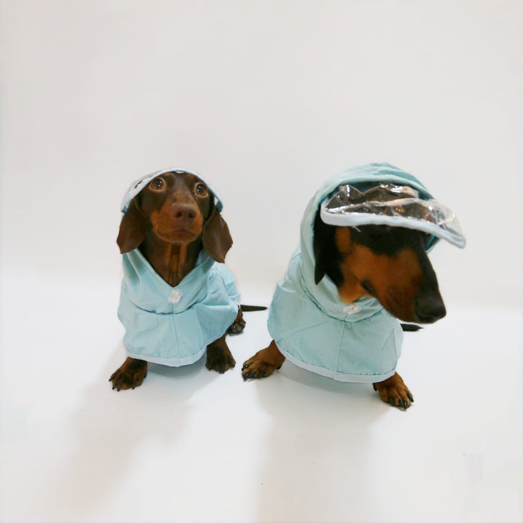 Poncho imperméable à capuchon pour chien