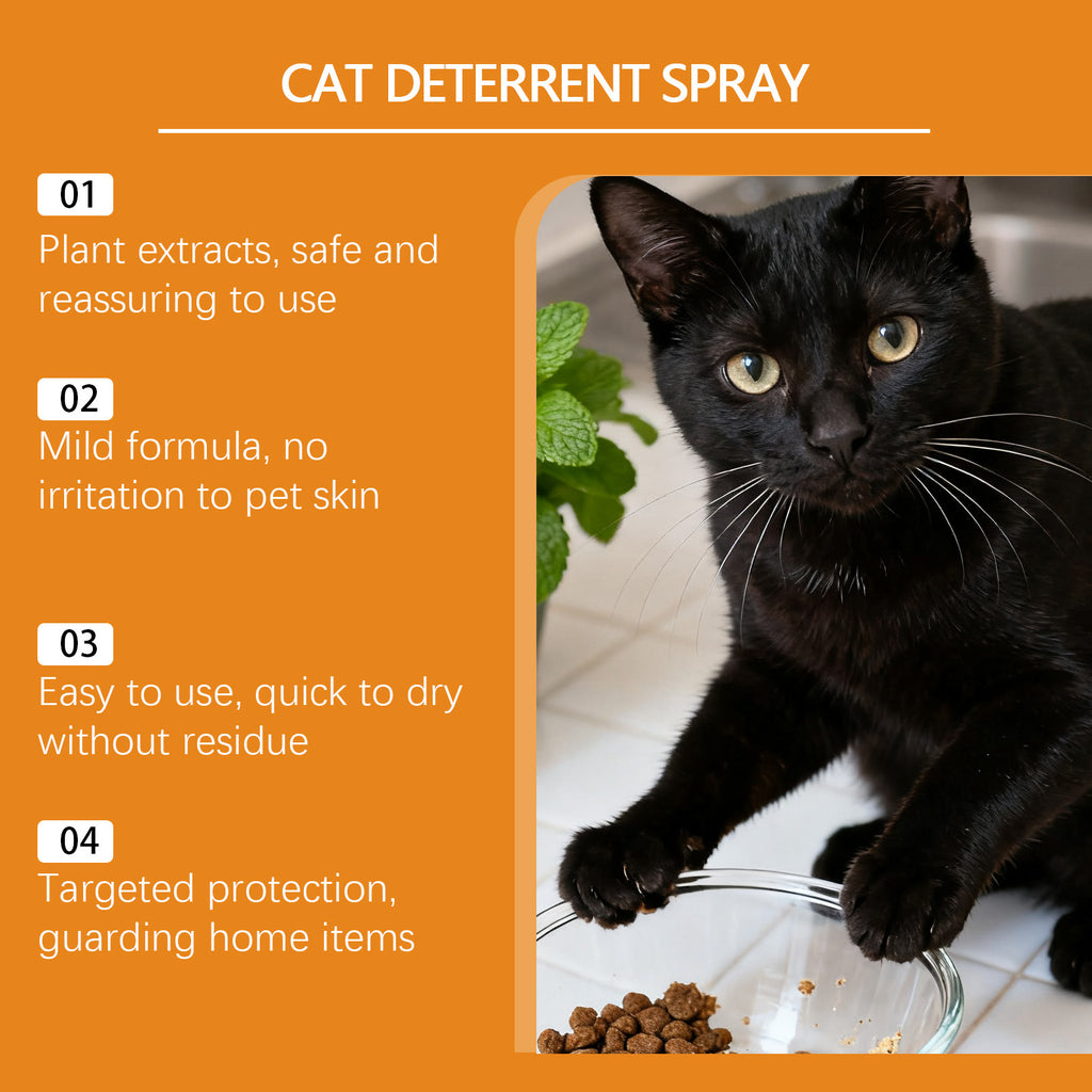 Spray anti-chat extérieur - Formule non toxique sécuritaire pour garder les chats loin de Garden Yard Pa