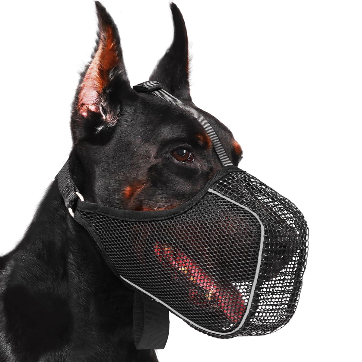 Muselière de Chien Mesh avec Panting Room pour grands chiens moyens Anti Scaveging Chewing Manger