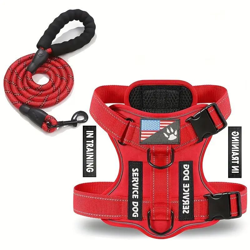 Chien d'animaux de compagnie Sangle mammaire Chien laisse Chien laisse