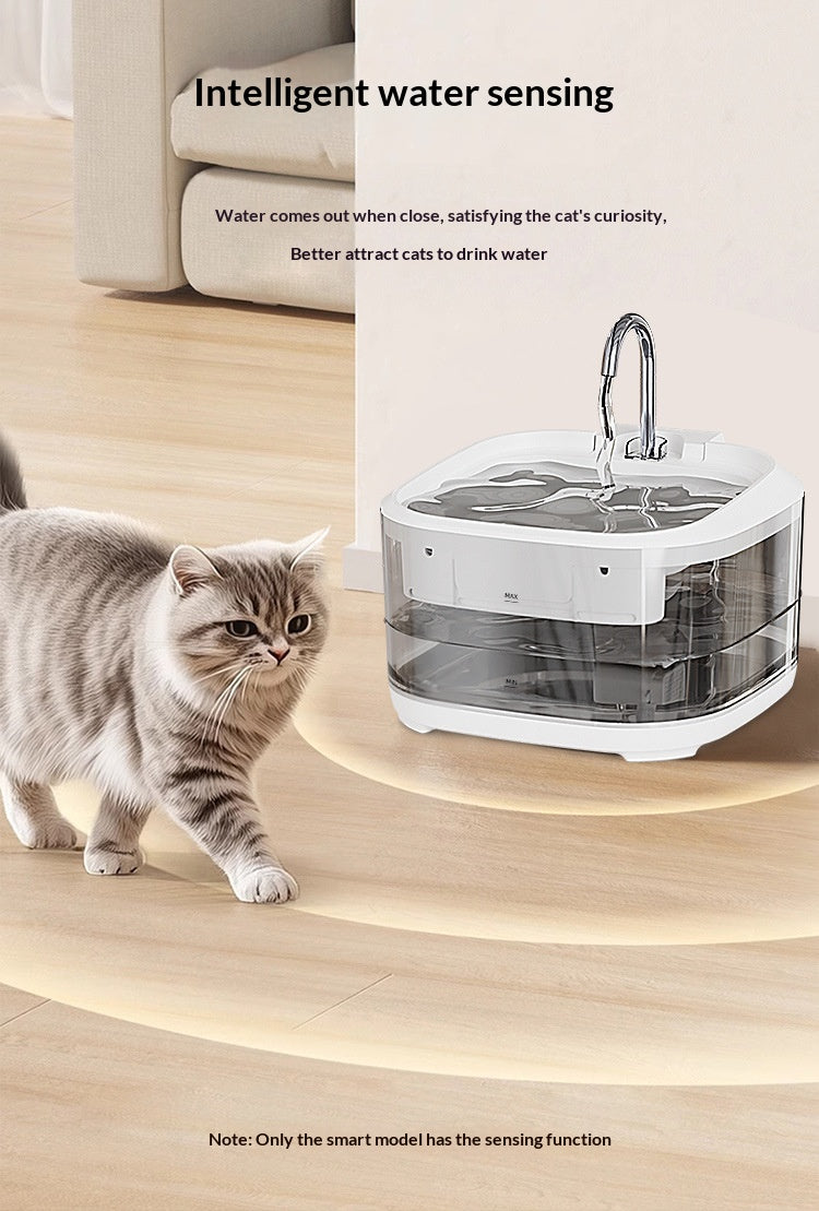 Grande capacité Entièrement transparent Automatique Circulant Fontaine d'eau filtrée pour animaux de compagnie
