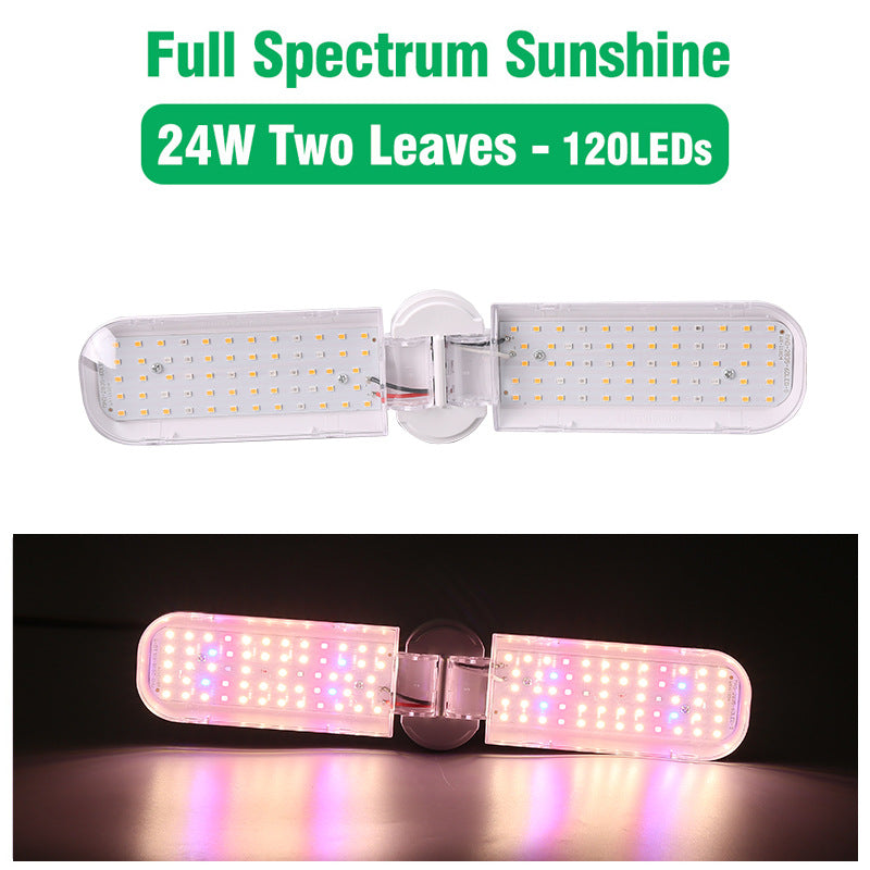 Lampe d'éclairage supplémentaire à spectre complet