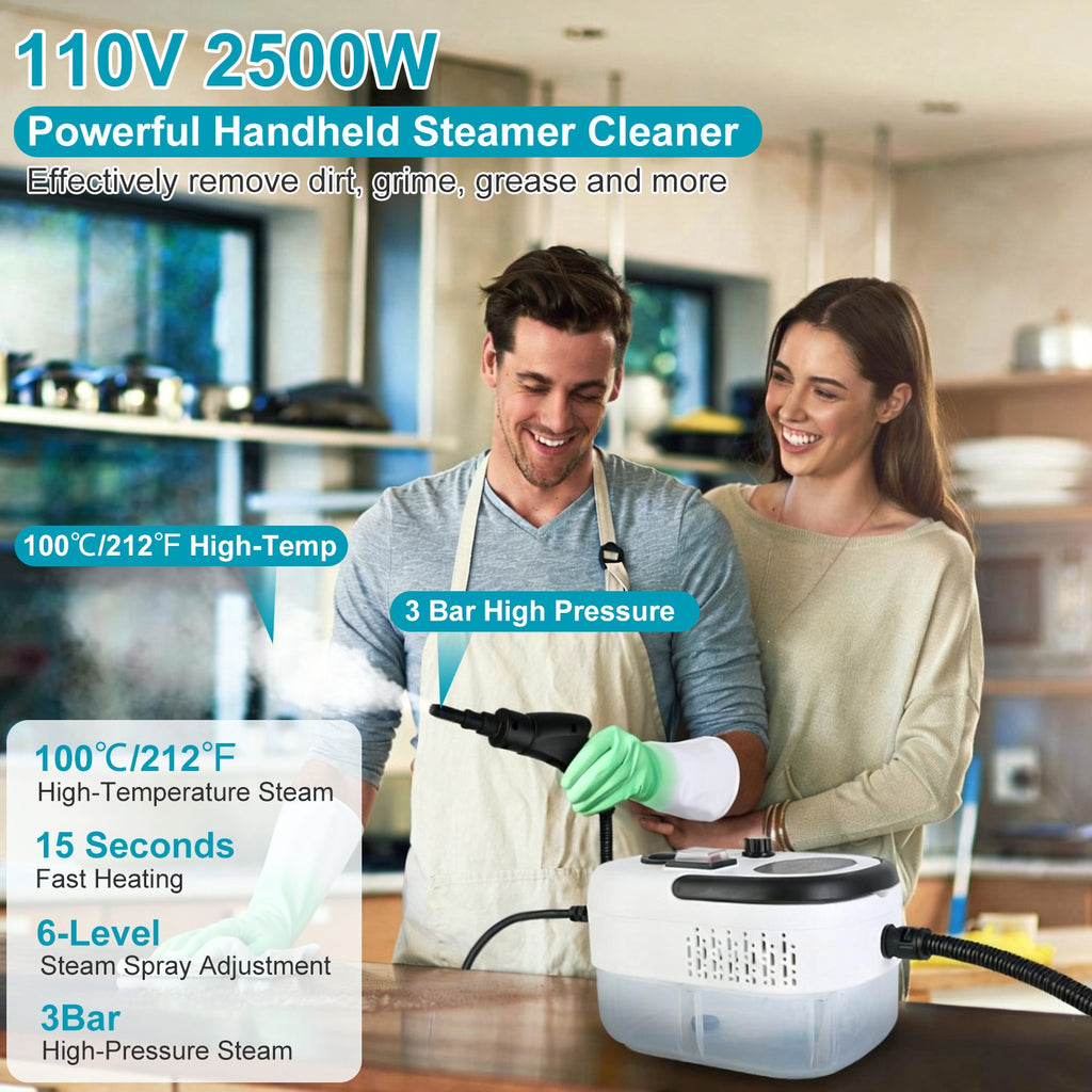 Nettoyeur de vapeur portatif 2500W multifonctionnel petit Steamer puissant haute température